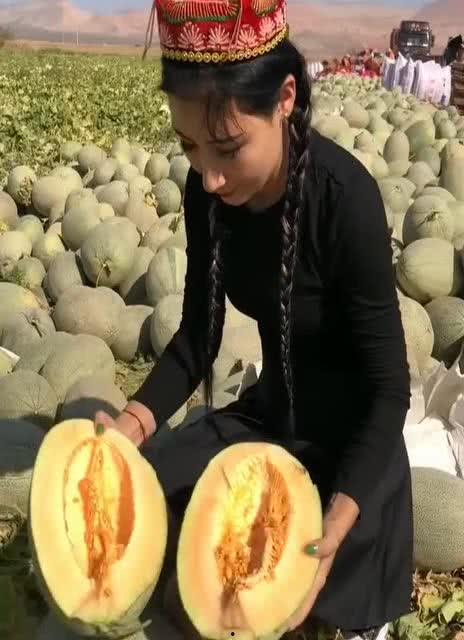 新疆吃瓜美女图片视频,瓜果飘香下的美丽瞬间
